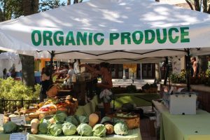 West Palm Beach Green Market - GreenMarket - WestPalmBeach.com