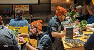 Bonsai Workshop at The Brewhouse Gallery in Lake Park