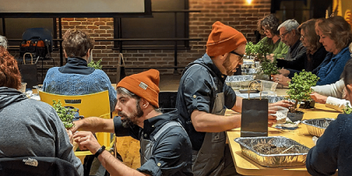 Bonsai Workshop at The Brewhouse Gallery in Lake Park