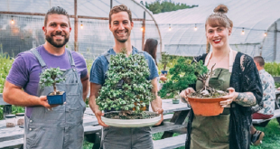 Bonsai Workshop at Maman in CityPlace, WPB