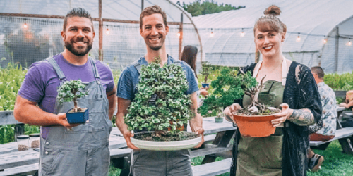 Bonsai Workshop at Maman in CityPlace, WPB